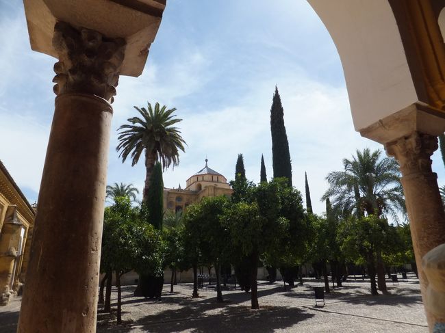 １５時ごろからメスキータの見学。<br />（スペイン語でモスクの意味）<br />７８５年に建設がはじめられ、３回拡張後、現在は２５０００人収容の大モスクとなっています。