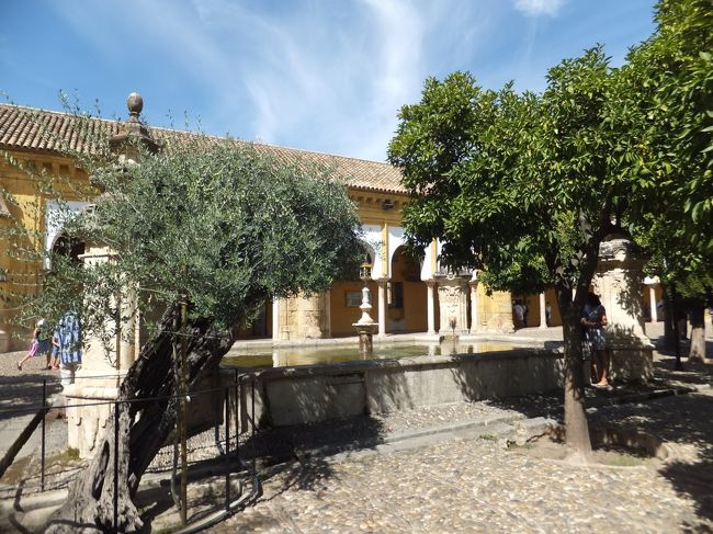 オレンジの中庭のオリーブの古木と信者が身を清めたアルマンソール泉。