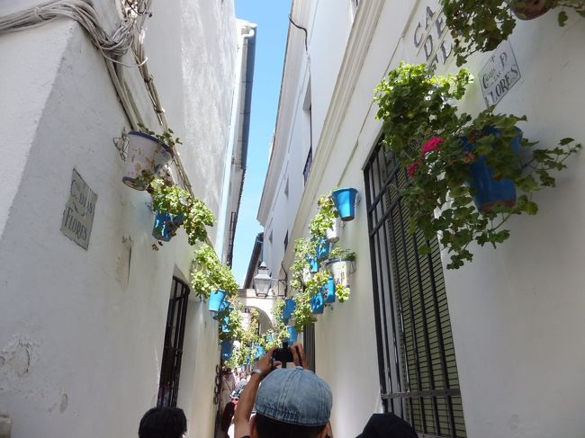 ユダヤ人街の花の小道<br />細い通りが続きます。