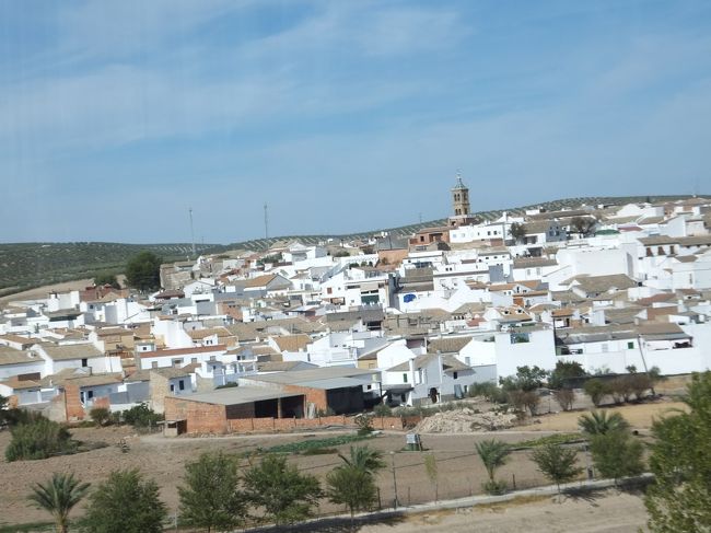 バスでグラナダへ　約１７１ｋｍ