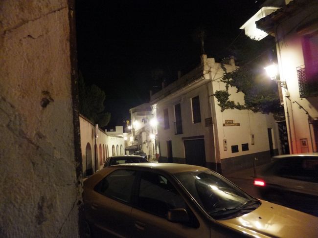 本当に道が細く、通勤時間とかどうなるのかな？と思いながら、バスでホテルへ戻りました。<br /><br />２３：３０頃無事に到着。<br />楽しい１日でした。