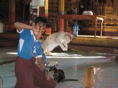 猫の輪くぐり　
４０〜５０名ほどの観光客が、
オーオー　てな感じですかね。