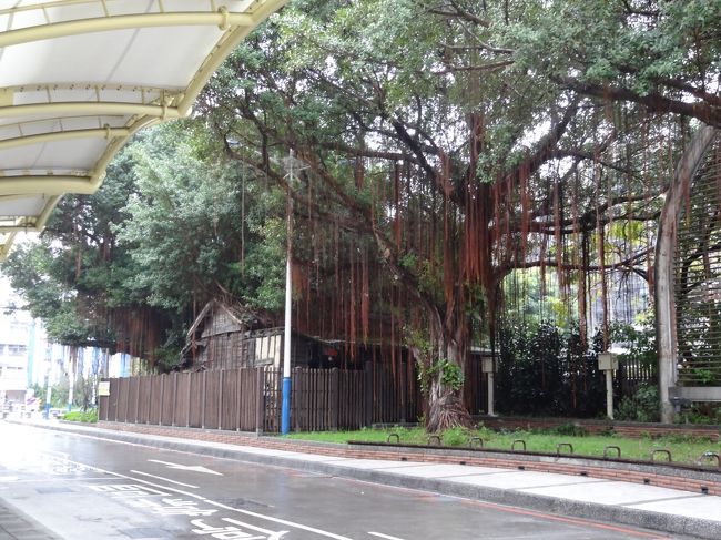 古そうなおうちもありました。<br />築何十年だろう？