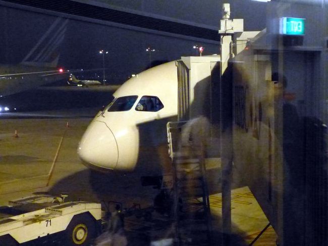 羽田空港までお世話になるボーイング７８７