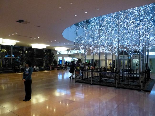 サクッと写真を撮ったあとＪＡＬアライバルラウンジを出て