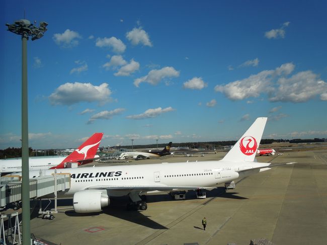 エアインディアの直行便（成田⇔デリー）で申し込んでいたのですが、2日前にファイブスターより連絡があって、787問題で急遽日本航空に振替になりました。<br />