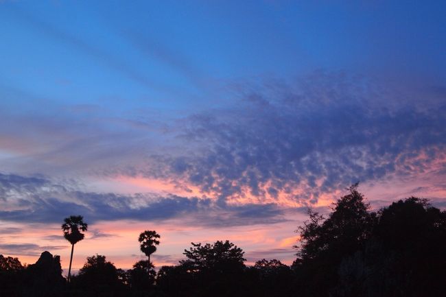 さっそく次の日、アンコールワットの朝焼けを見に！！<br />早起きした甲斐があり、太陽は見れなかったものの綺麗な朝焼けを見る事ができました♡