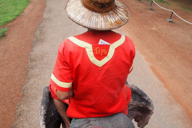 チップは背中のポッケに