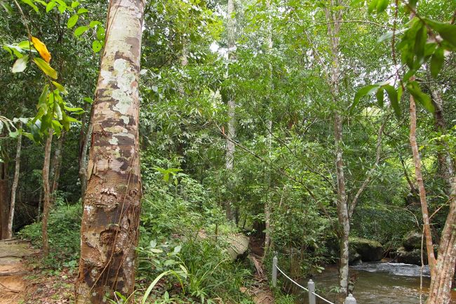 クバルスピアンを見る為に山登り。<br />そんなに高い山ではないけれど、岩上りみたいな部分もありました。