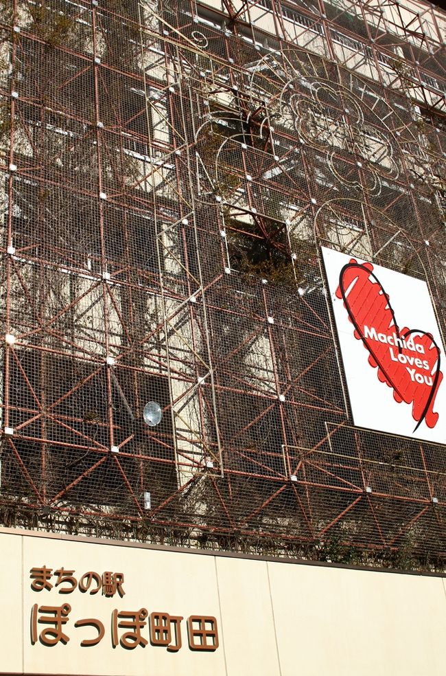 原町田中央通りに出ました。<br />このビルの壁は春になったら緑で覆われるのかしら？<br />