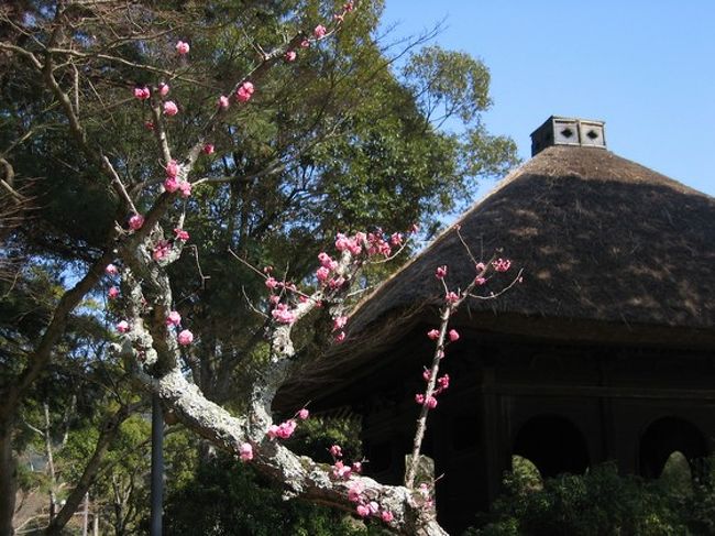 丸窓亭という建物があるので、無理矢理入れてみました(笑)