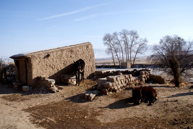 北門から入って、南門に達しました。<br />門をくぐるのは後回しにして城内の東側<br />城壁はほとんど残っていません<br />