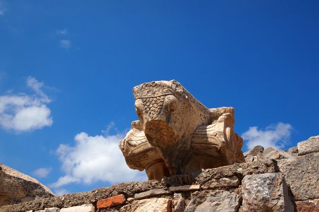 この日はエフェソスへ！<br />紀元前11世紀辺りに建設された地。<br /><br />遺跡を見ていると、当時いかに繁栄していたのか、よく分かります！<br />