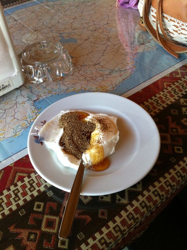 移動の休憩で立ち寄った店でヨーグルトを食べます<br /><br />クリームみたいなヨーグルト！<br />松の木の蜂蜜に、けしのみをかけて食べます！<br />絶品♡