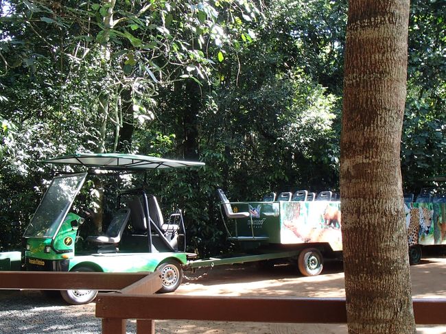 まずは、電動車にのってトレイル。