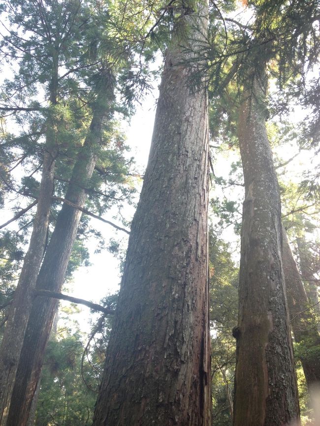 パワースポットっぽい