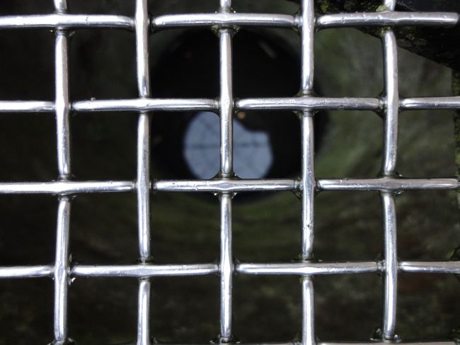 中を覗くとこんなカンジ。<br />なぜかやはりコインが散ってるよ。<br />ピントが格子網にあっちゃっててわからないか・・・。