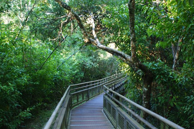 まずは森の中。