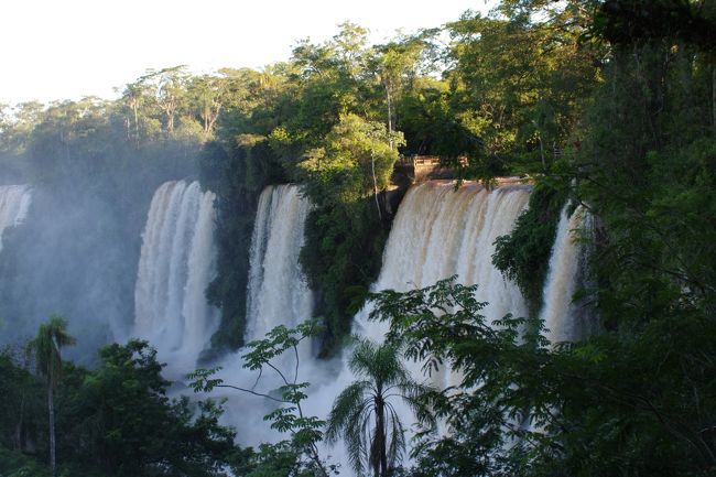 見えてきました。