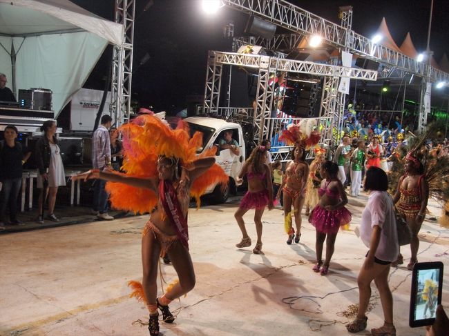 今年はリオのカーニバルに行くことも考えましたが、会社の休みが合わずにあきらめました。