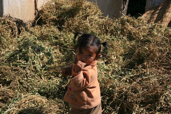 ガイドさんの好意で、ナガルコット近くの村に遊びに行きました。この後、カメラのバッテリーが上がってしまいましたが、普段は旅行客が訪れない場所に、変な外国人が来たのに、みんな暖かく迎えてくれました。