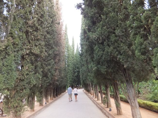 緑に囲まれ、とても気持ちがいいです