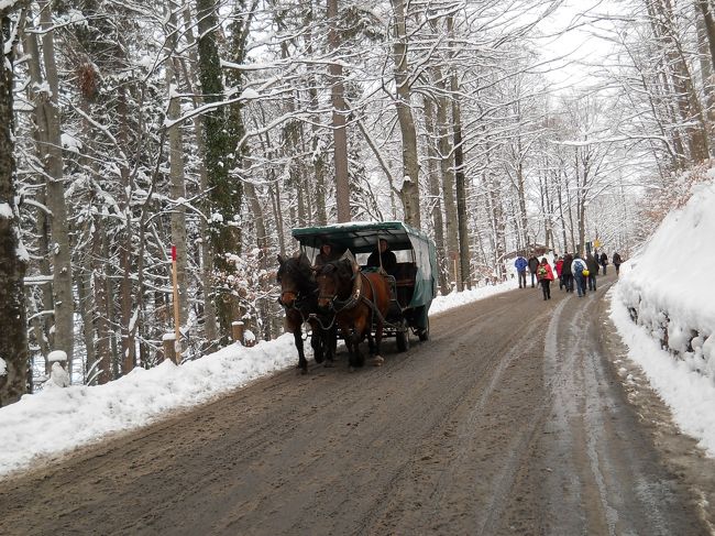 ノイシュバンシュタイン城まで徒歩で行く。<br /><br />冬季はバスが運休で馬車のみ。<br /><br />ツアーガイドに45分位と言われたが30分もかからない。<br /><br />足元の悪さが難点！！滑る滑る。