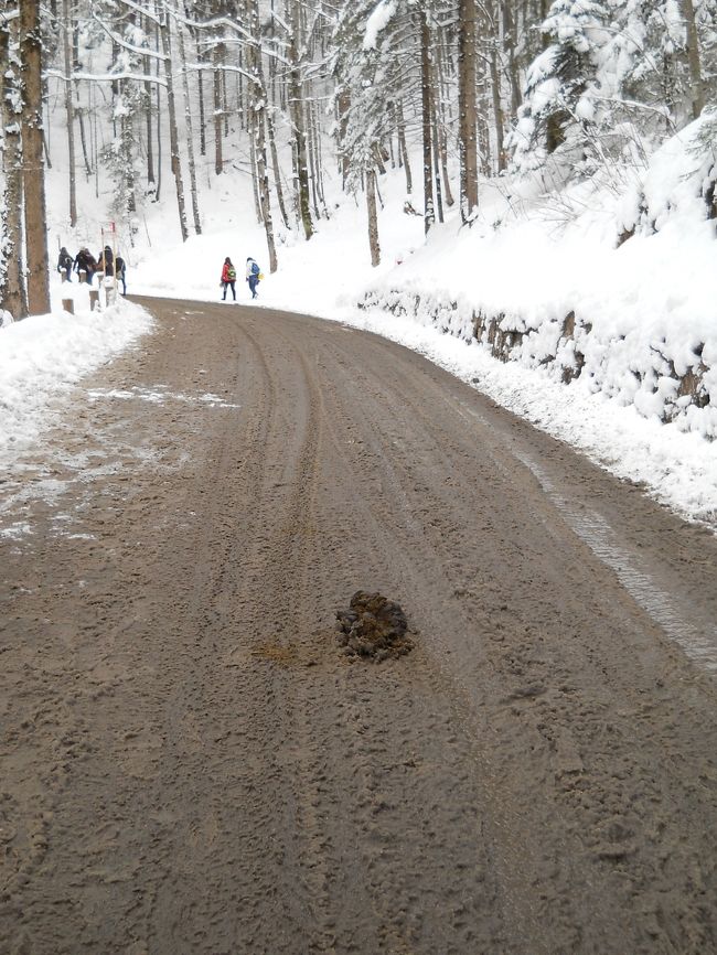 ！！！馬車の糞、要注意！！<br /><br />よけて歩くのが大変なの〜〜