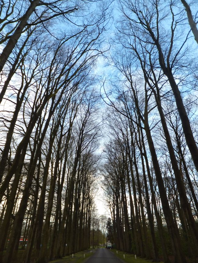 門の前の道をずんずん進む！<br />19時回ってるけどこんなに明るいよ(^O^)<br />空も綺麗です。!(^^)!