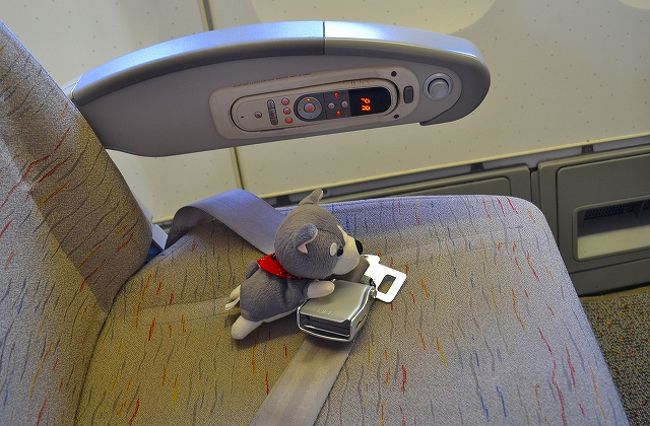 あたちも、シートベルトをしっかりだワン。