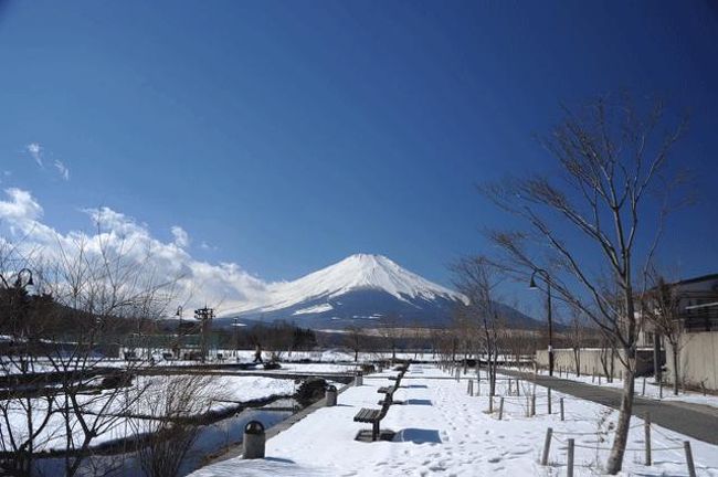 冬の湖 雪と氷の絶景 冬の大雪山山麓と富良野・美瑛 ｜西遊旅行の添乗員