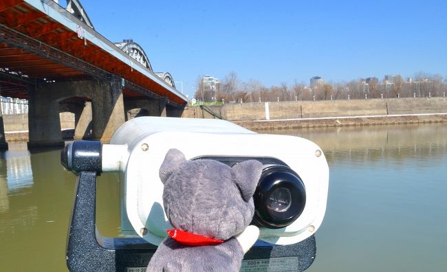 何か、見えるかワン？<br /><br />