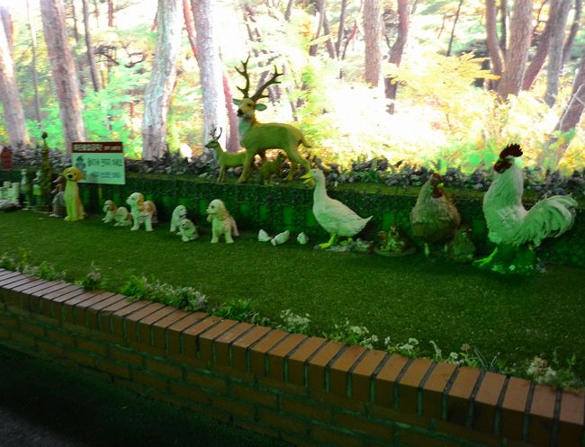 シルロアムサウナに来ました。