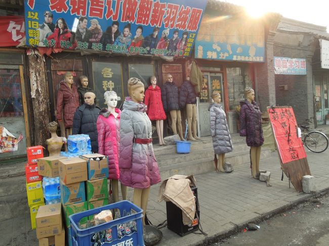 あらら、<br />こちらは防寒してます。