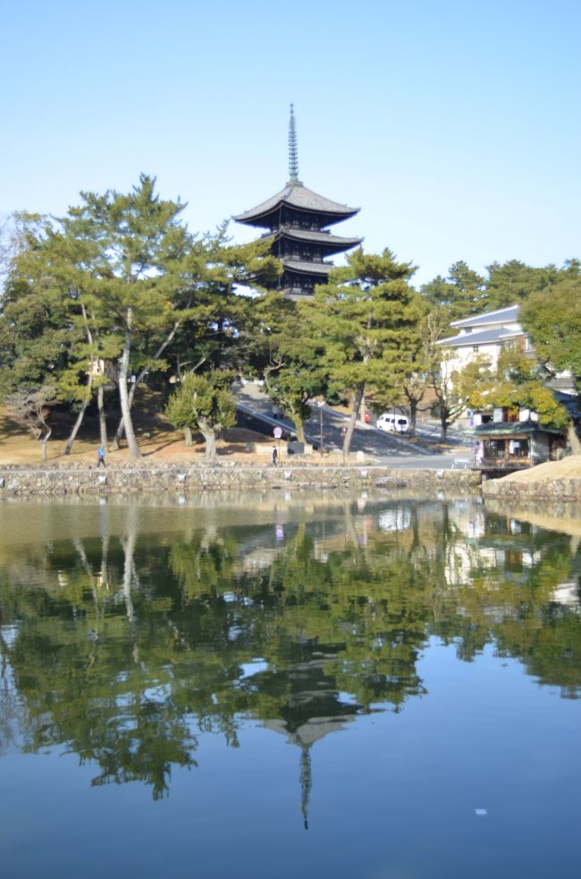 まず訪れたのは『猿沢池』<br />興福寺の五重塔が顔をのぞかせる景色はいつもながら素敵です。