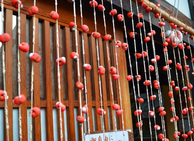 遠くから見ると、干し柿のように見えます（失礼ですね！）