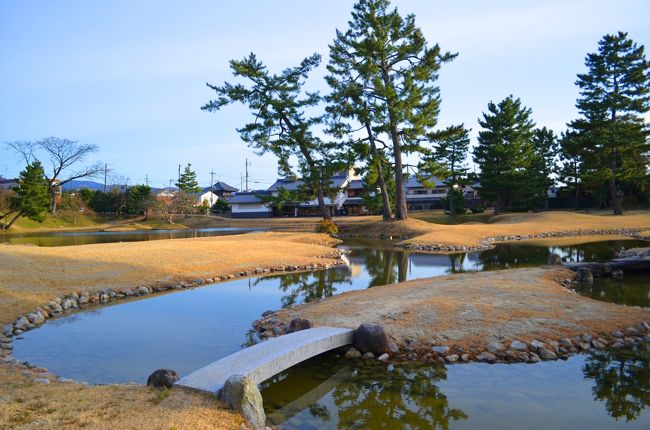 東大池を中心に島が点在していて・・・