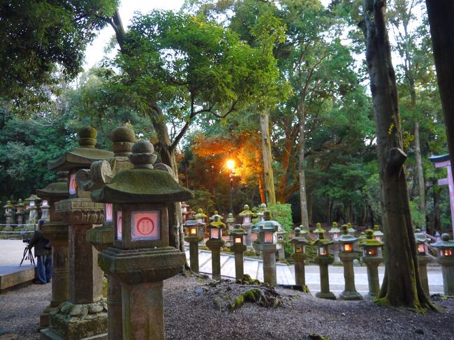少し茶店で休憩した後、三社寺のひとつ『春日大社』に向かいます。<br />日暮れ時の「春日万燈籠」が見たくって・・・