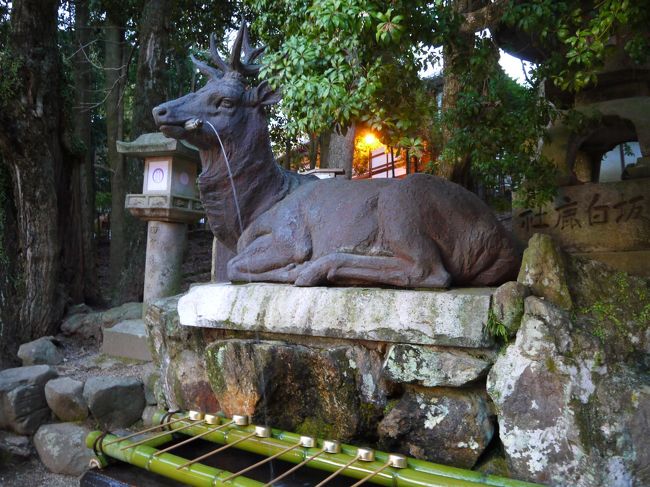 鳥居を入ると、鹿が水を吹きだす「伏鹿手水所」があります。（面白い仕掛けです）<br />ここで手を清めて進んで行きます。