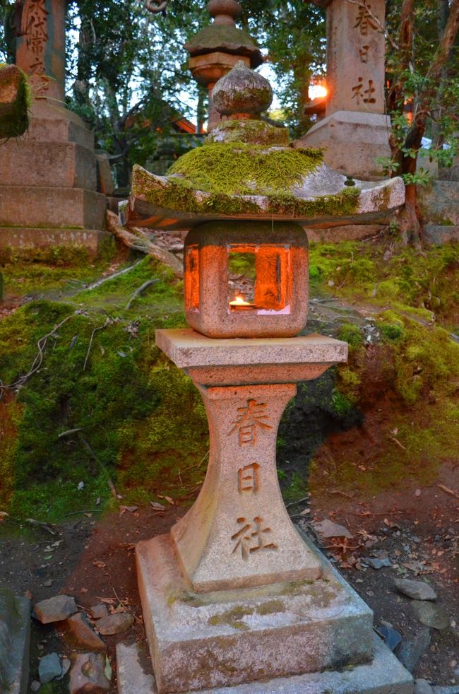 参道の石燈籠にろうそくが灯されています。<br /><br />