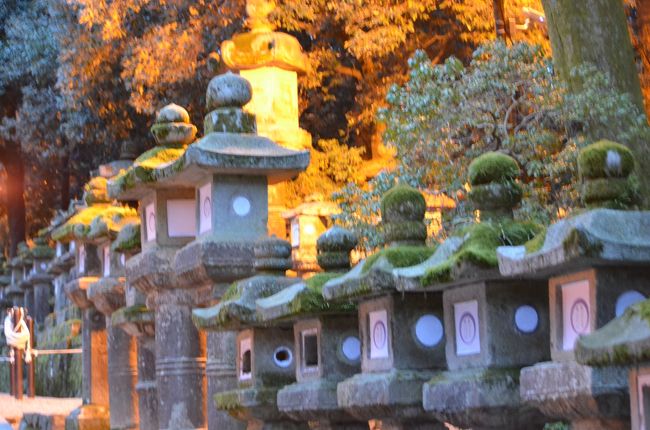 日が暮れていく中、石灯篭が連なる参道を歩いて行きます。