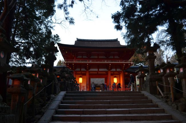 南門下まで来ました。<br />ほのかにライトアップされた南門まで石段を上ります。