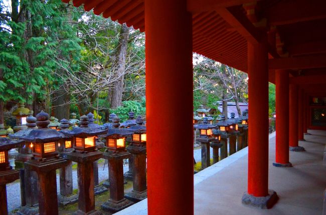 こちらが左の様子です。<br />このあたりにも数多くの石灯篭があり、全ての灯籠に灯りが灯っています。