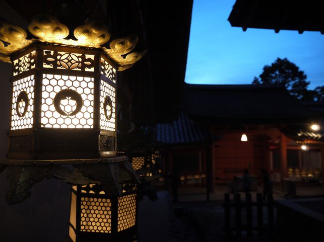 なら瑠璃絵のHPのストーリーに<br />「底冷えのする奈良、澄み渡る冷たい空気が心を清めてくれる<br />いつもは自分の願いごとばかりだけど、今日は自分以外の全てのものに感謝して、世界中の人や動物や植物がしあわせになるように祈りを捧げよう・・・