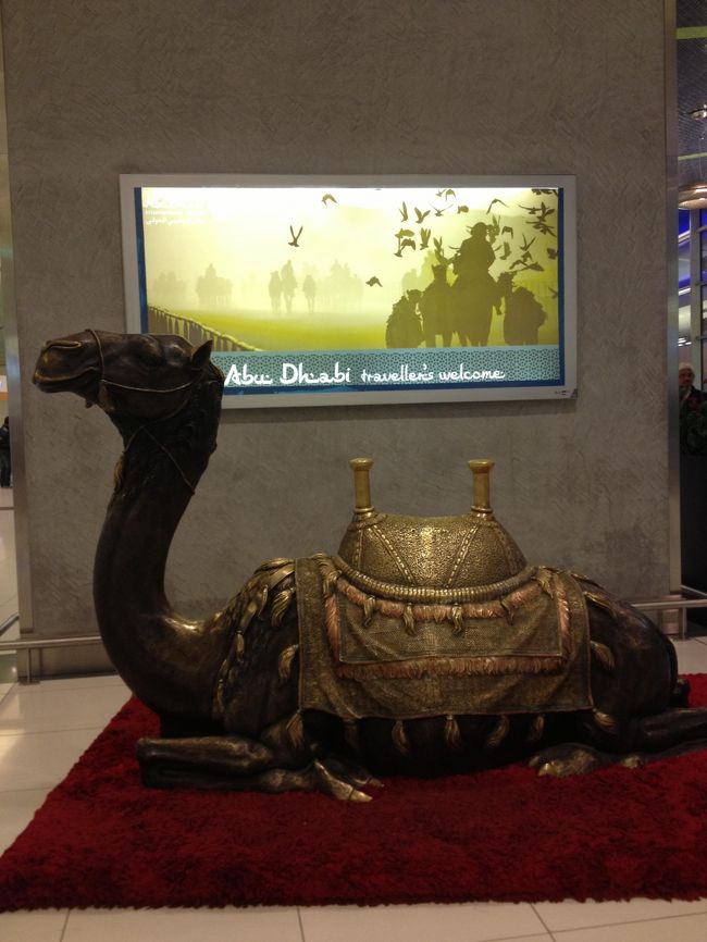 ラクダがお出迎え〜♪