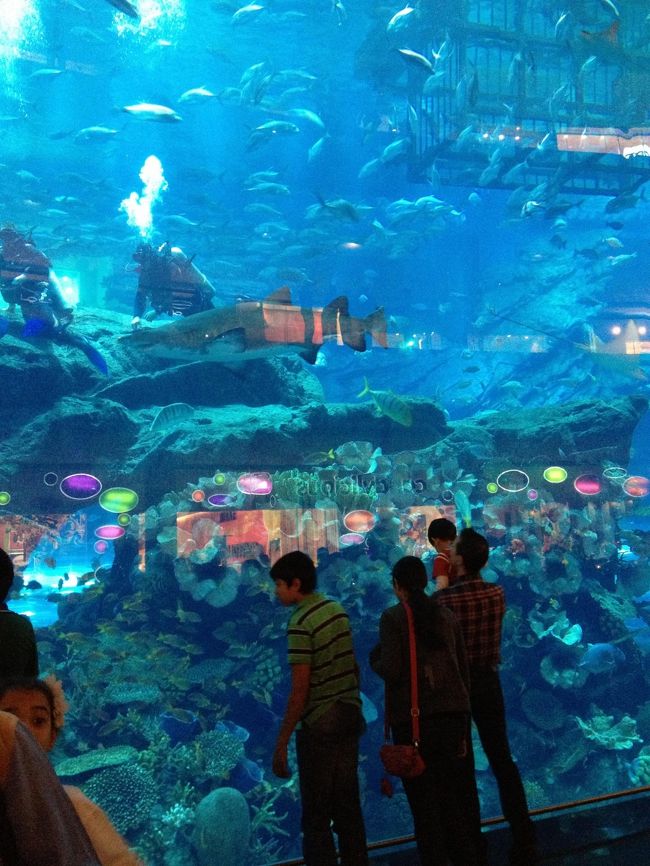 一部無料で見れるようになってます<br />さすがﾄﾞﾊﾞｲ！！！！