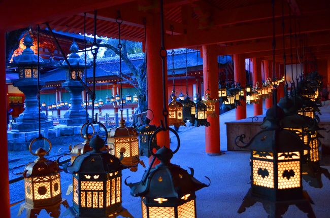 灯りが朱色の回廊をやさしく照らして幽玄な雰囲気を出しています。