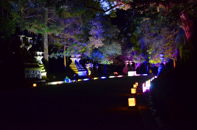 参道を戻ります。<br />道の両端が幻想的な色で照らされています。