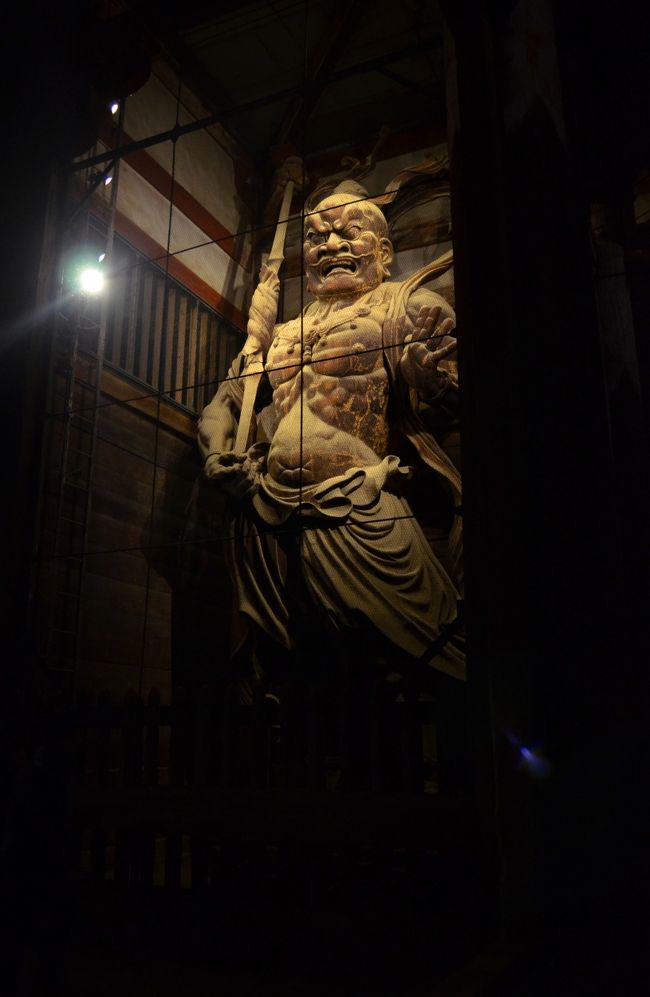 夜は一層睨みがきいているような気がします。