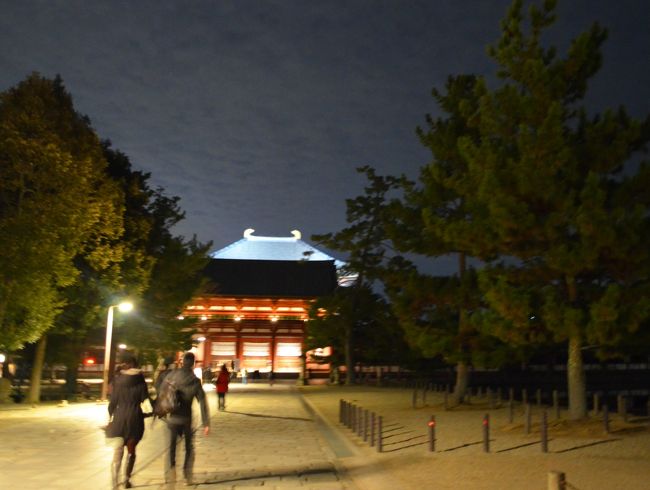 南大門から大仏殿方面を見たところ<br />奥に白っぽい大仏殿の屋根が顔をのぞかせています。